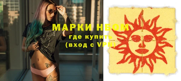 хмурый Липки