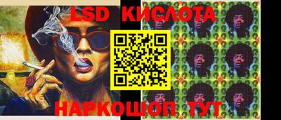шишки Белореченск