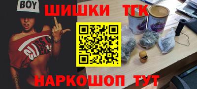 СК Бердск