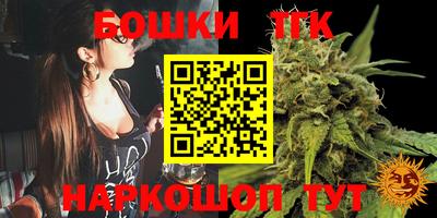 шишки Белореченск