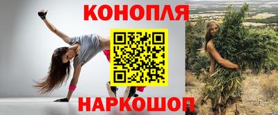 шишки Белореченск