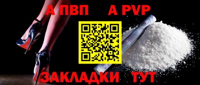 СК Бердск