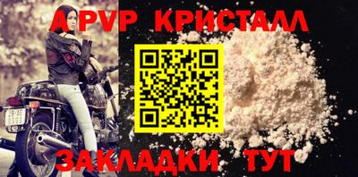 СК Бердск