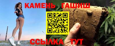 СК Бердск