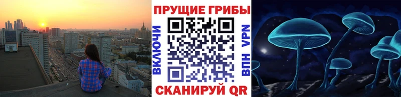 Псилоцибиновые грибы MAGIC MUSHROOMS  купить наркотики сайты  Ярославль 
