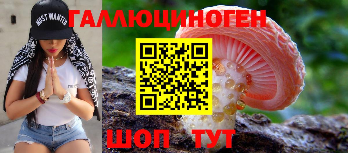 Галлюциногенные грибы Psilocybe  Вход с VPN  Ярославль  Псилоцибиновые грибы MAGIC MUSHROOMS 